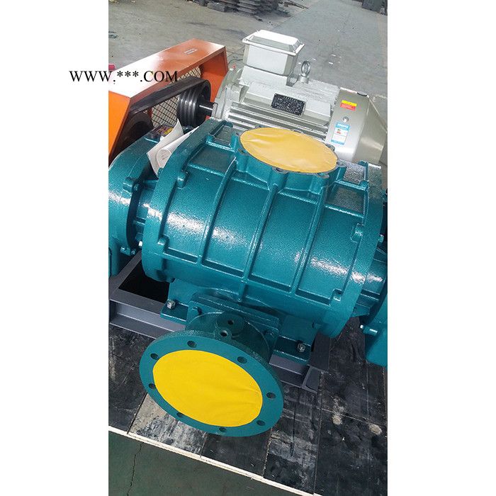 金翊牌JYSR250A罗茨风机 熔喷布设备专用风机 罗茨鼓风机 三叶罗茨鼓风机 污水处理风机图4