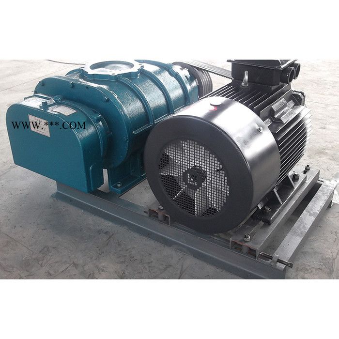 金翊牌JYSR250A罗茨风机 熔喷布设备专用风机 罗茨鼓风机 三叶罗茨鼓风机 污水处理风机图3