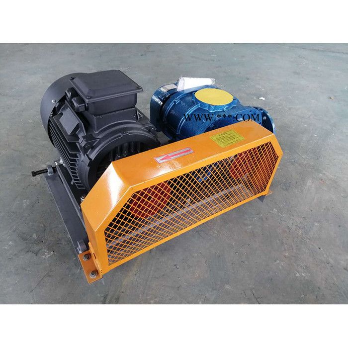 金翊牌JYSR250A罗茨风机 熔喷布设备专用风机 罗茨鼓风机 三叶罗茨鼓风机 污水处理风机图6