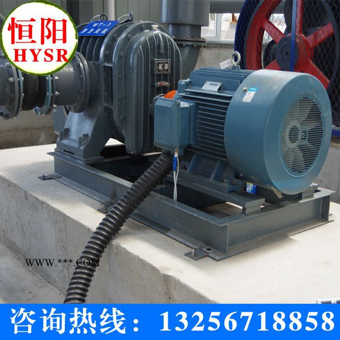 供应三叶罗茨鼓风机 三叶罗茨风机图2