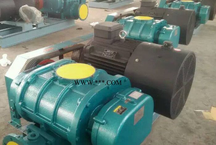 金翊牌JYSR125A罗茨风机 罗茨鼓风机 高压风机 回转风机图6