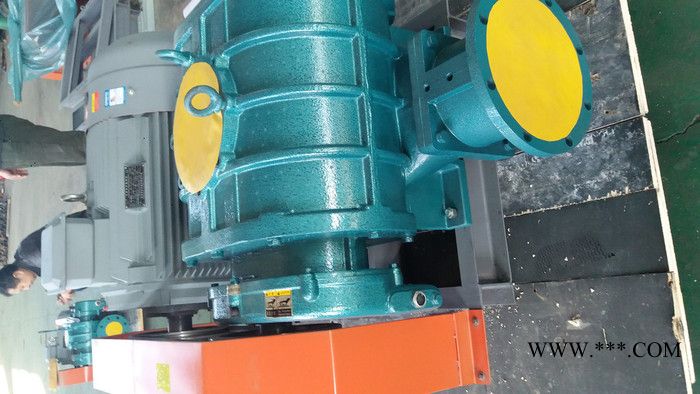 金翊牌JYSR125A罗茨风机 罗茨鼓风机 高压风机 回转风机图4