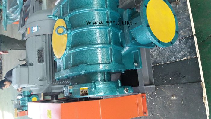 金翊牌JYSR125A罗茨风机 罗茨鼓风机 高压风机 回转风机图2