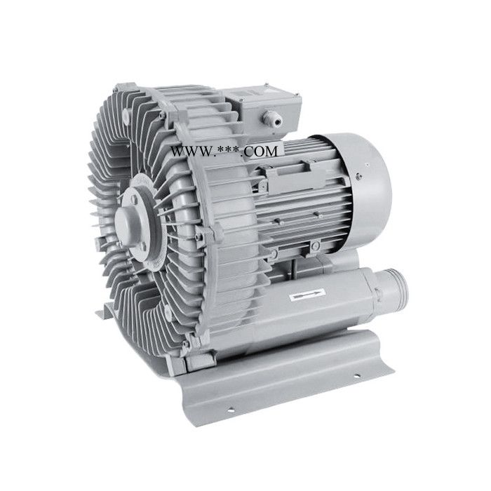 现货旋涡式气泵旋涡式鼓风机低噪音高压漩涡气泵批发图2