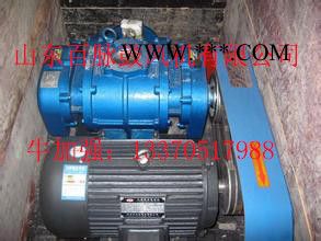 山东百脉鼓风机  罗茨风机  罗茨鼓风机图2