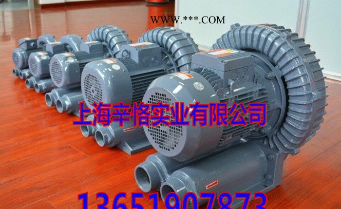 环形鼓风机 环形高压鼓风机 台湾环形鼓风机 RB漩涡回转式风图2