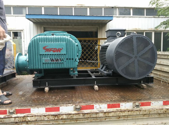 供应其他罗茨鼓风机,罗茨风机,鼓风机图2