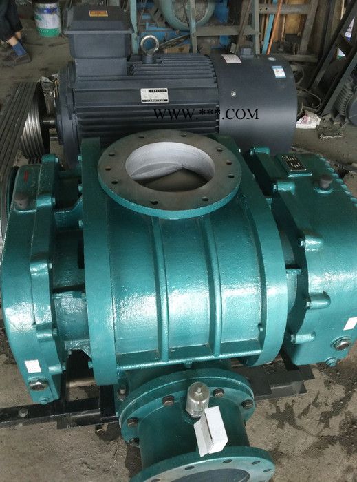 供应其他罗茨鼓风机，罗茨风机，鼓风机图5