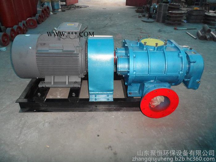 供应SSR型80罗茨鼓风机，罗茨鼓风机价格,污水处理罗茨鼓风机，三叶罗茨鼓风机图4