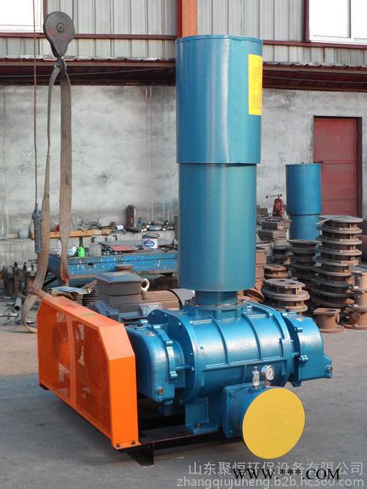 供应SSR型80罗茨鼓风机，罗茨鼓风机价格,污水处理罗茨鼓风机，三叶罗茨鼓风机图7