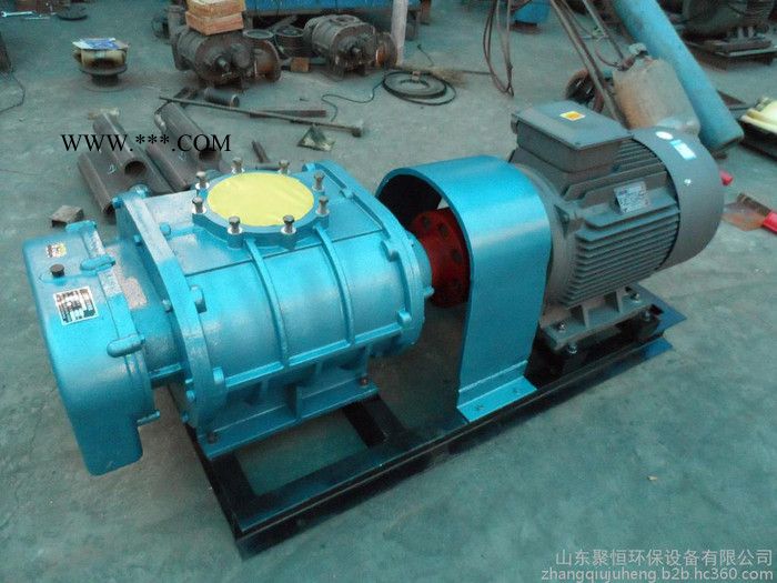 供应SSR型80罗茨鼓风机，罗茨鼓风机价格,污水处理罗茨鼓风机，三叶罗茨鼓风机图3