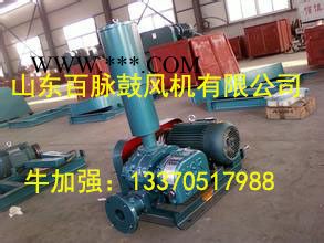**】山东百脉鼓风机有限公司  罗茨鼓风机  高压风机 鼓风机图5