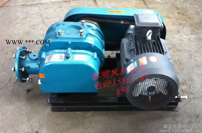 供应罗茨鼓风机，污水处理罗茨鼓风机，三叶罗茨鼓风机图2