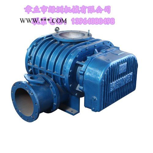 气力输送鼓风机厂家   LZSR300鼓风机图2