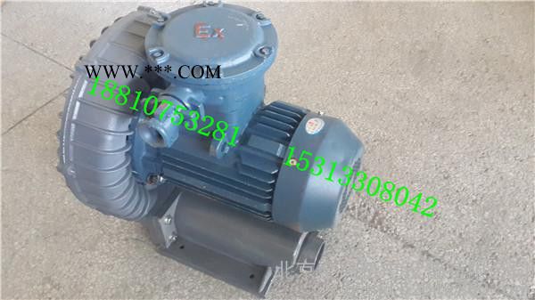 高压防爆鼓风机  废气输送高压防爆鼓风机 沼气输送高压防爆鼓风机 化学气体输送高压防爆鼓风机图2