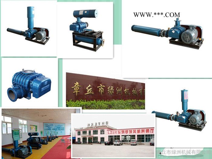 罗茨鼓风机，LZSR250型号，绿洲鼓风机图3