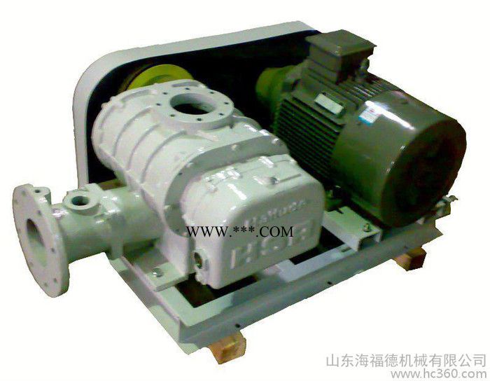 供应罗茨鼓风机、罗茨风机、鼓风机图2