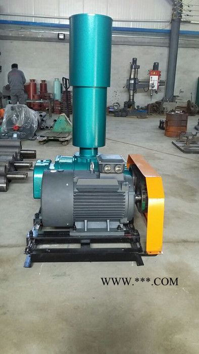 水处理曝气鼓风机，鼓风机应用三叶罗茨鼓风机，欢迎订购图3