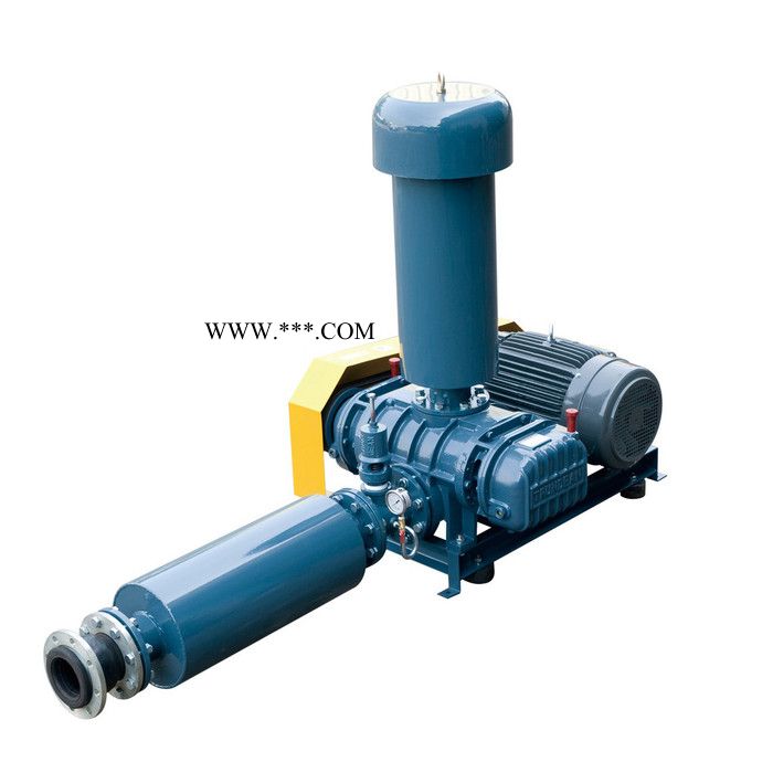 鼓风机厂家供应 春鼎机械TH型罗茨鼓风机 鲁式鼓风机图2