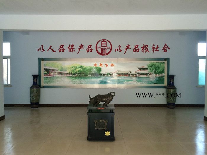 山东百脉鼓风机有限公司 鼓风机  罗茨鼓风机图2