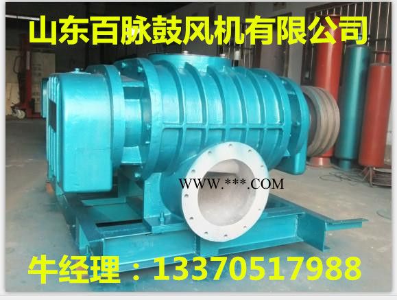 山东百脉鼓风机有限公司 鼓风机  罗茨鼓风机图3