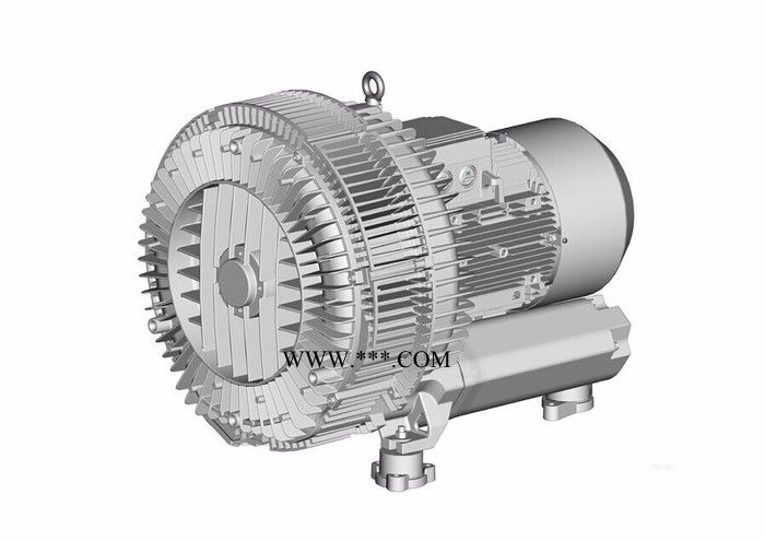 高压鼓风机 汉克单叶轮高压鼓风机图3