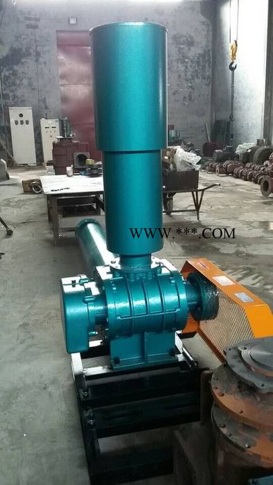 三叶罗茨鼓风机，罗茨鼓风机，厂家供应图2