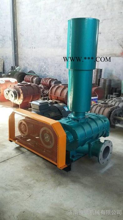 厂家销售三叶罗茨鼓风机、密集型罗茨鼓风机、罗茨真空泵、高压型罗茨鼓风机、罗茨鼓风机等风机产品图2