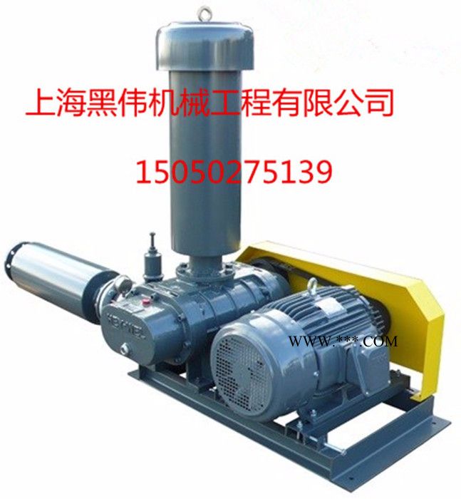 黑伟RSS-65 台湾鲁氏鼓风机 黑伟陆上行风机 罗茨鼓风机 高品质鲁氏鼓风机 包安装图2