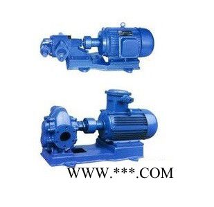 上海开力KCB齿轮泵 齿轮油泵 齿轮输油泵 KCB-55齿轮油泵2CY齿轮油泵 铸铁 不锈钢 防爆图4