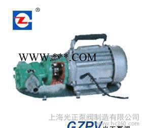 光正牌WCB型齿轮油泵，整体不锈钢齿轮油泵图3