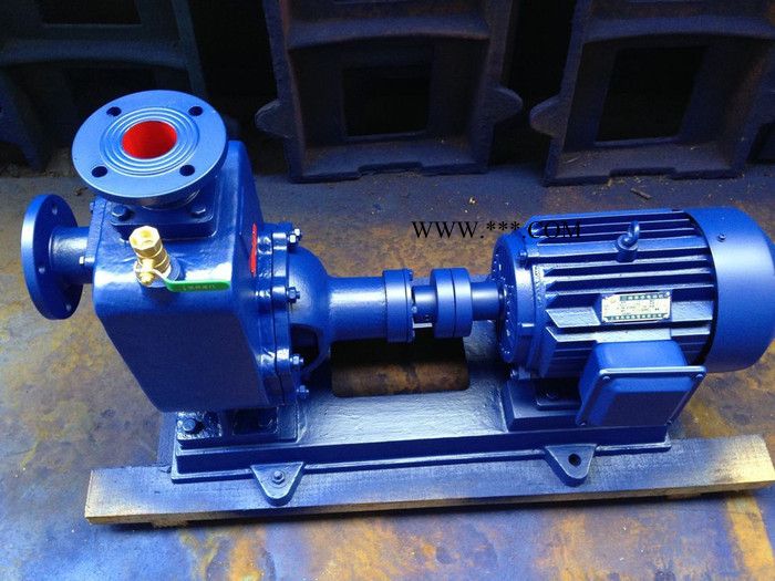 光正牌WCB型齿轮油泵，整体不锈钢齿轮油泵图2