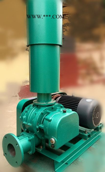 罗茨鼓风机 80型号三叶罗茨鼓风机报价 山东澳源风机厂家图3