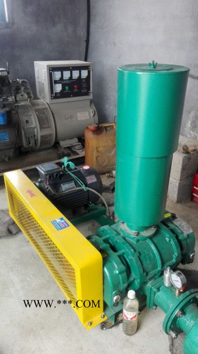 罗茨鼓风机 80型号三叶罗茨鼓风机报价 山东澳源风机厂家图2