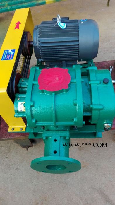 罗茨鼓风机 80型号三叶罗茨鼓风机报价 山东澳源风机厂家图4