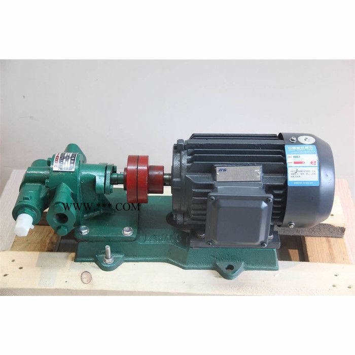 上海开力KCB齿轮泵 齿轮油泵齿轮输油泵 KCB-960齿轮油泵 2CY齿轮油泵 铸铁 不锈钢 防爆图2