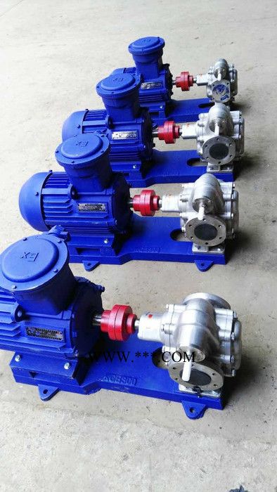 上海开力KCB齿轮泵 齿轮油泵齿轮输油泵 KCB-960齿轮油泵 2CY齿轮油泵 铸铁 不锈钢 防爆图4