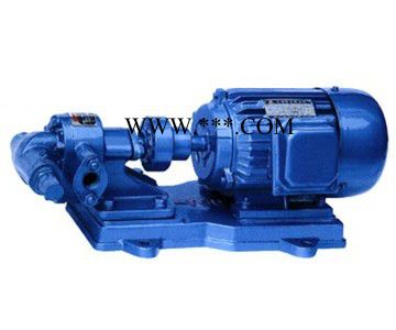 上海开力KCB齿轮泵 齿轮油泵齿轮输油泵 KCB-960齿轮油泵 2CY齿轮油泵 铸铁 不锈钢 防爆图5