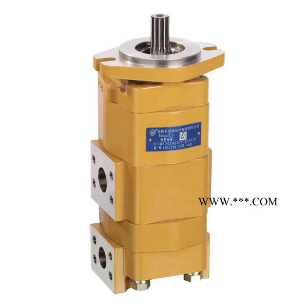 供应合液 品牌 齿轮油泵厂家  双联齿轮油泵 齿轮油泵,齿轮马达,液压阀,液压油缸,液压元件直销 工程机械图2