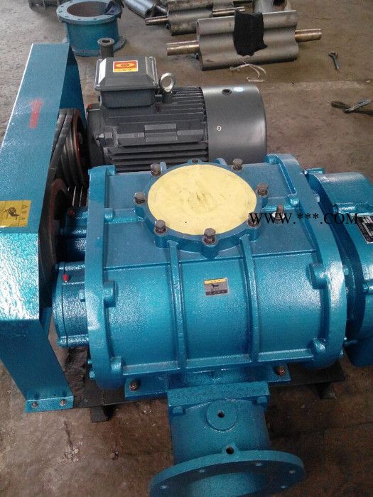 供应水产养殖罗茨鼓风机大地罗茨鼓风机价格图3