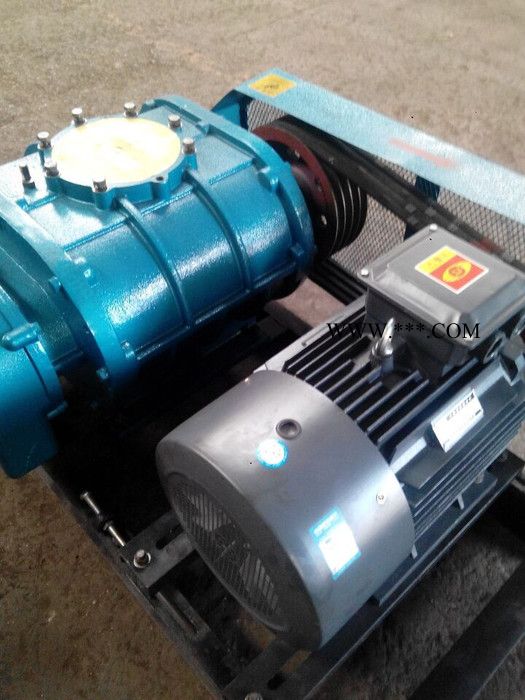 供应水产养殖罗茨鼓风机大地罗茨鼓风机价格图2