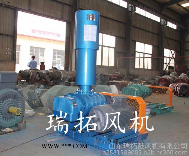 63.7kpa除灰罗茨鼓风机丨鑫瑞拓RTSR系列除灰防爆鼓风机丨除灰高压鼓风机图5