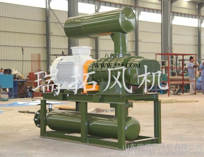 63.7kpa除灰罗茨鼓风机丨鑫瑞拓RTSR系列除灰防爆鼓风机丨除灰高压鼓风机图4