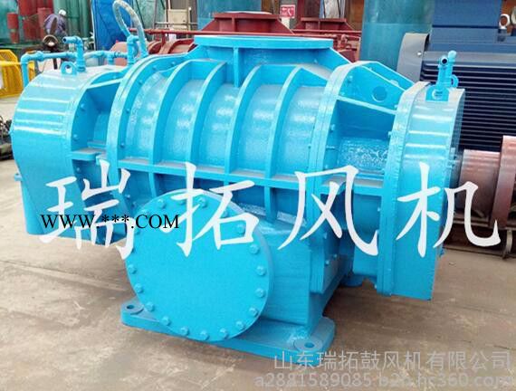 63.7kpa除灰罗茨鼓风机丨鑫瑞拓RTSR系列除灰防爆鼓风机丨除灰高压鼓风机图2