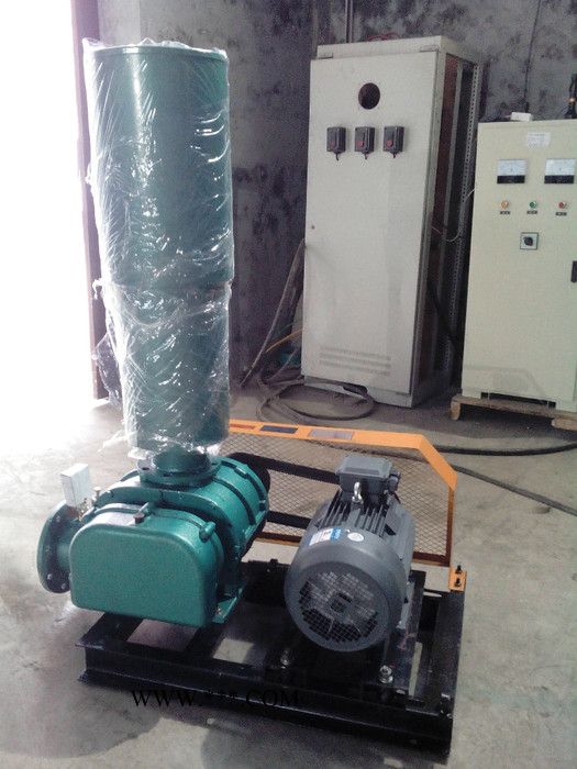 专业生产三叶罗茨回转式鼓风机，鼓风机用途，三叶罗茨鼓风机型号图3