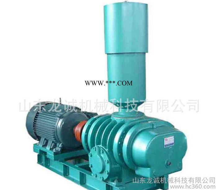 定做销售 章丘直连式罗茨鼓风机 章丘密封型罗茨鼓风机图2