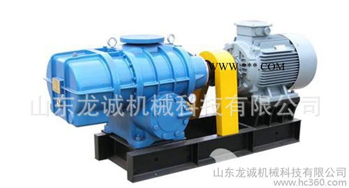 定做销售 章丘直连式罗茨鼓风机 章丘密封型罗茨鼓风机图3