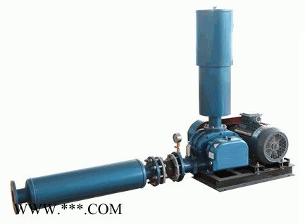 金鑫真空泵厂 罗茨鼓风机 鼓风机 三叶罗茨风机 金鑫图2