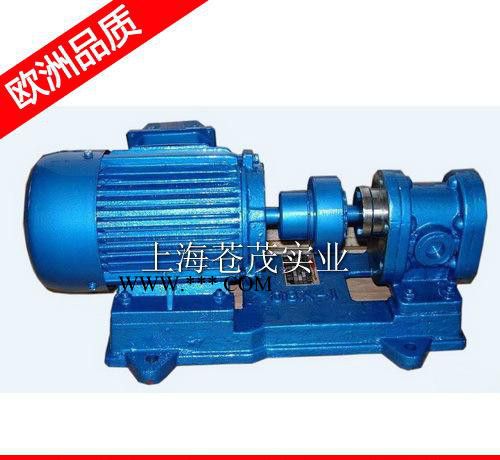 cbb齿轮油泵 cb-b齿轮油泵 KCB-33.3 轻便图2