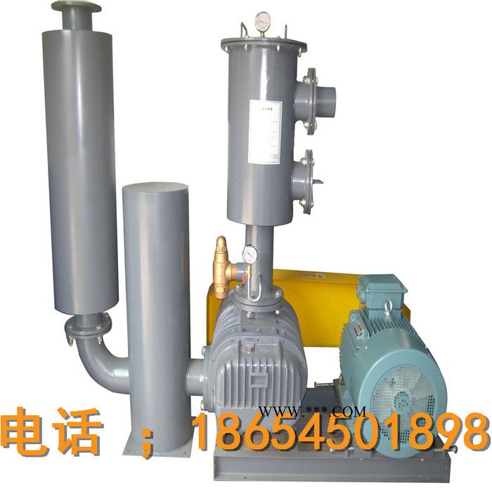 ZSF50 罗茨鼓风机图2